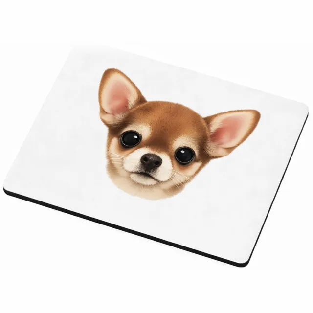 Mr Cadeautjes MDF magnetische fotolijst 9 x 7 - design Een klein, centraal portret van een nieuwsgierige kat met ro | cadeau Wit
