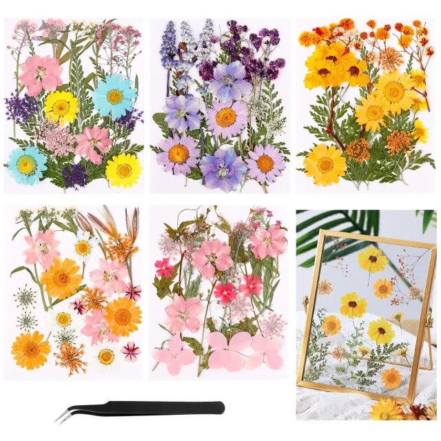 Famanu Natuurlijke gedroogde bloemen set van 96 stuks voor decoratie en gastgeschenken