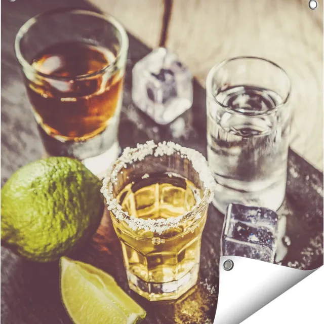 Gards Tuinposter Alcoholische Drankjes - Drank - 60x60 cm - Tuindoek - Tuindecoratie - Wanddecoratie buiten - Tuinschilderij Multikleur