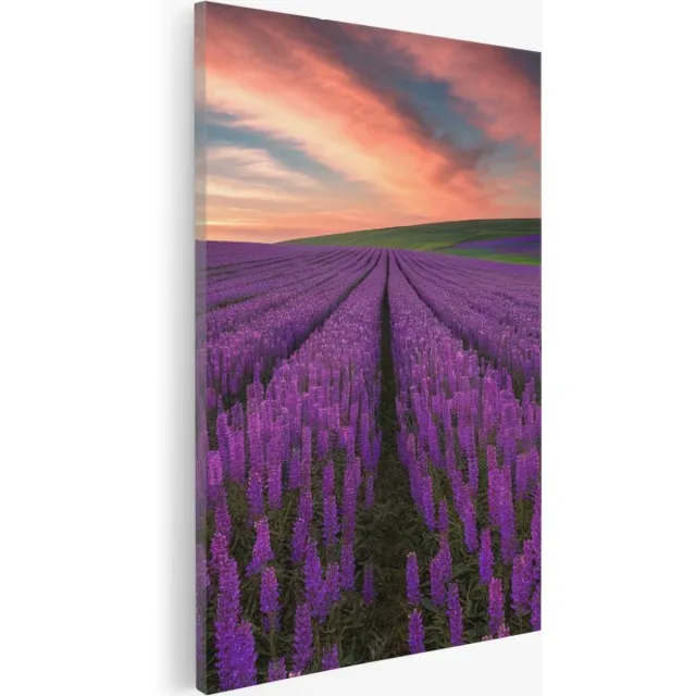 Saammp Canvas Schilderij - Lavendelveld - Natuur - Landschap - 100x150 - Foto op canvas - Wanddecoratie - Muurdecoratie Woonkamer - Slaapkamer decoratie - Canvas Print Multicolor