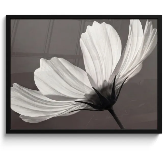 FrameYourWall Poster in lijst - Fotolijst 80x60 cm - Posters - Bloem - Minimalistisch - Zwart - Wit - Posterlijst zwart - Decoratie - Wanddecoratie woonkamer - Muurdecoratie slaapkamer