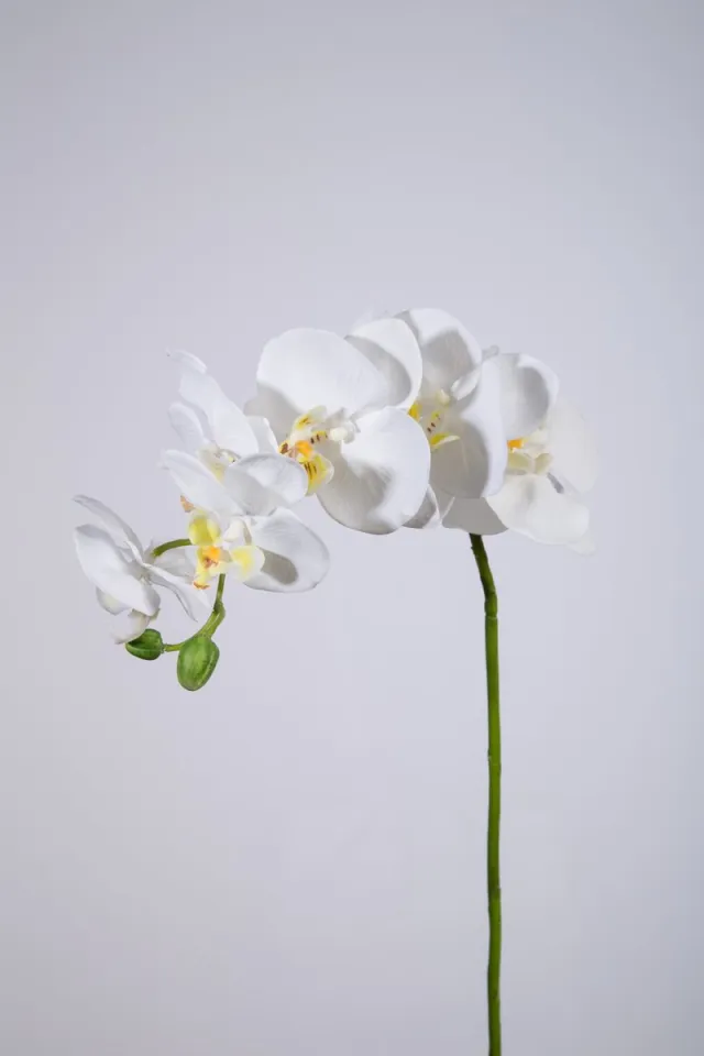 Trendybywave Kunstbloem - set van 2 - Phalaenopsis orchidee - decoratieve tak - 70 cm - wit