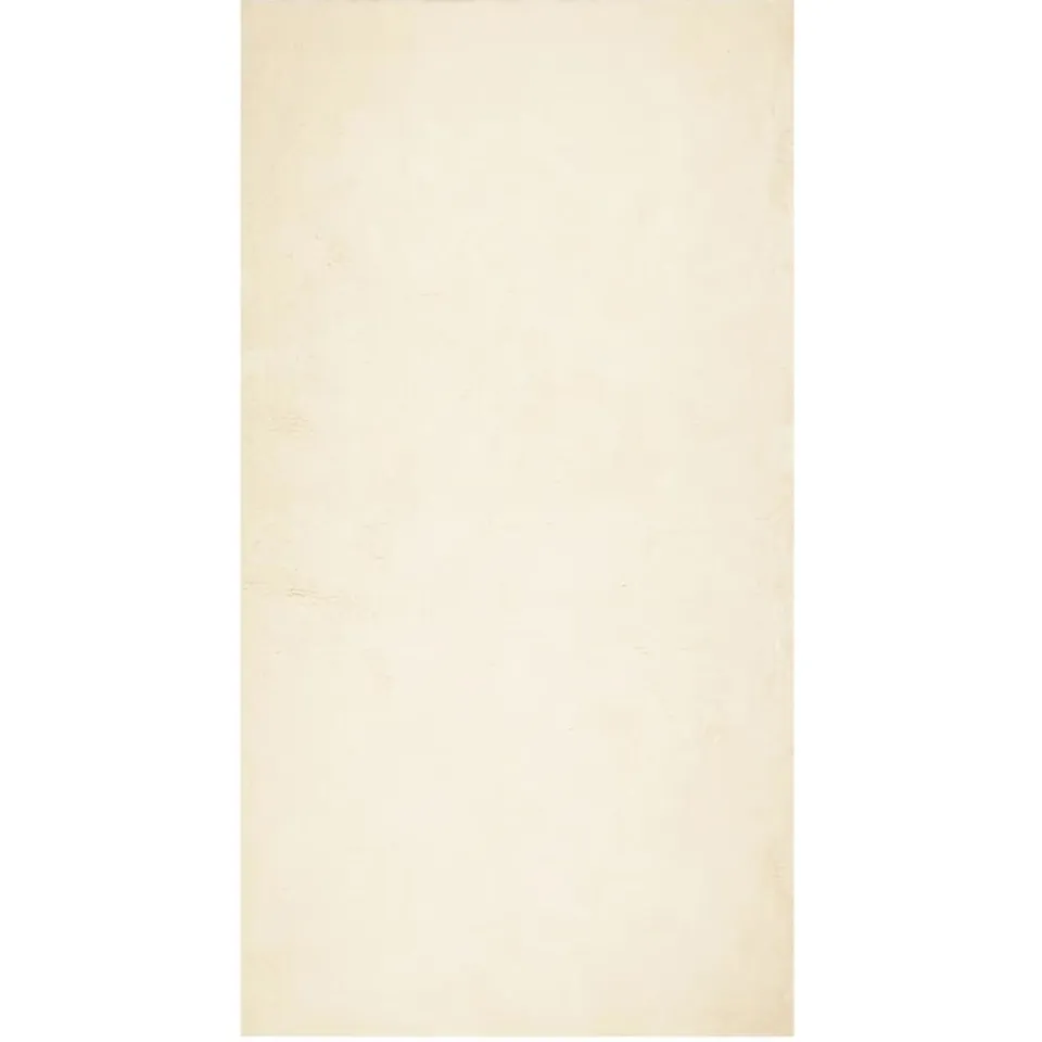 vidaXL Vloerkleed HUARTE laagpolig zacht wasbaar 80x150 cm crème