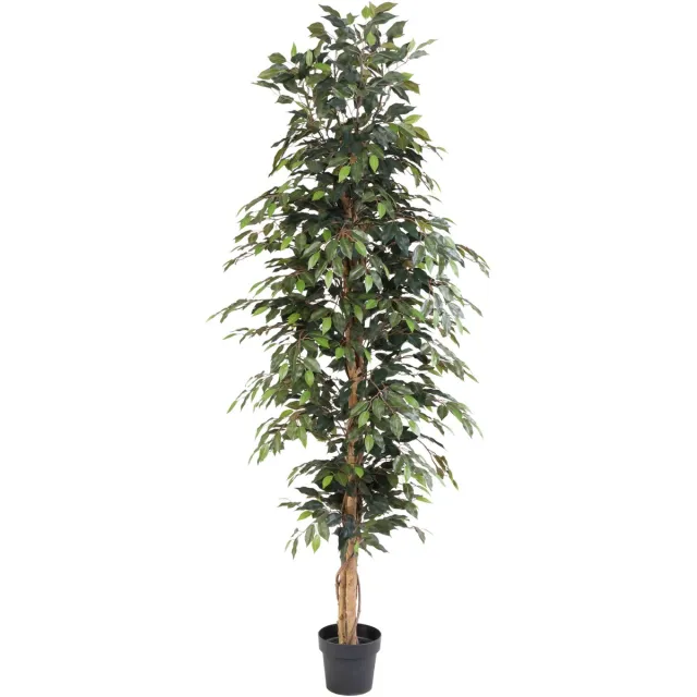 Florafy Kunstplant Ficus Benjamina 205cm - Kunstplanten voor binnen - Onderhoudsvrij Groen