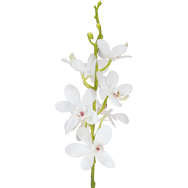 Viana Kunstmatige orchideeën witte bloesem Ø3,5–5 cm L38 cm 2 stuks, 2 Stück