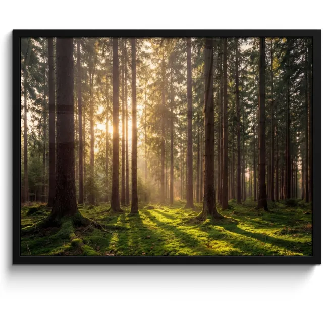 FrameYourWall Poster in lijst - Fotolijst 70x50 cm - Posters - Bos - Gras - Zonlicht - Posterlijst zwart - Decoratie - Wanddecoratie woonkamer - Muurdecoratie slaapkamer