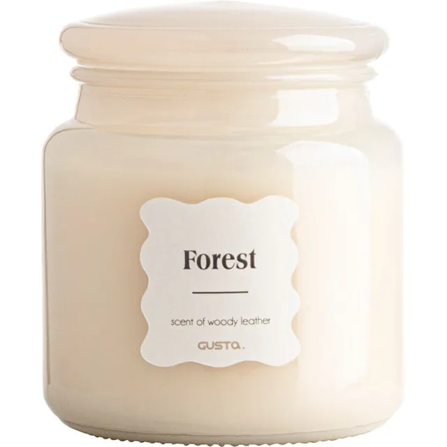 Gusta Geurkaars in apothekerspot FOREST - 10x11 cm Grijs