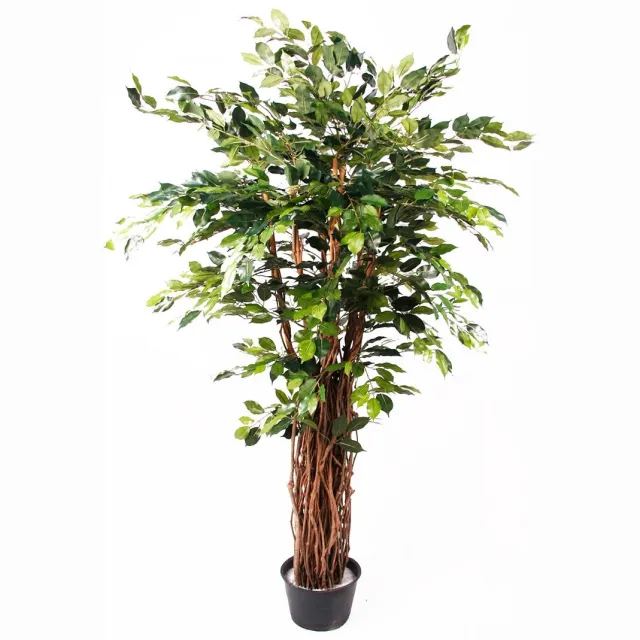 Emerald Kunstplant Ficus Benjamina Liana Deluxe 175cm - Kunstplant voor binnen Groen