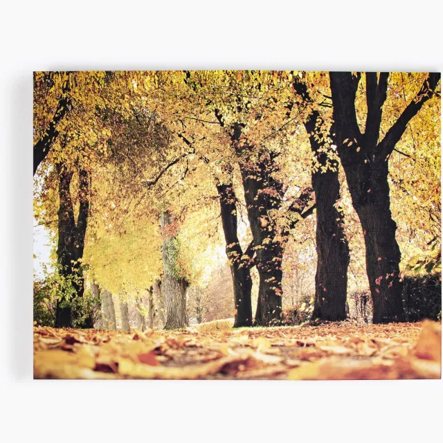Art for the Home Canvas Herfst - Bomen - 75x100cm - Geel