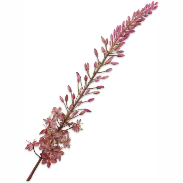 Silk-ka Kunstbloem-Zijden Bloem Eremurus Steel Roze-Zalm 107 cm
