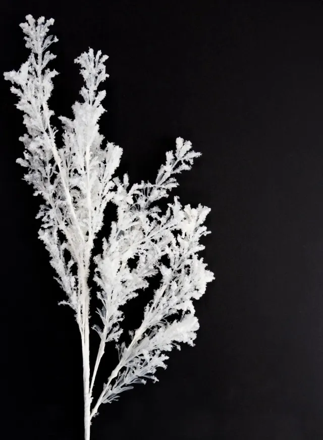 Kaemingk BV Kunstmatige tak mat decoratieve tak winterdecoratie wit 78cm 2 stuks