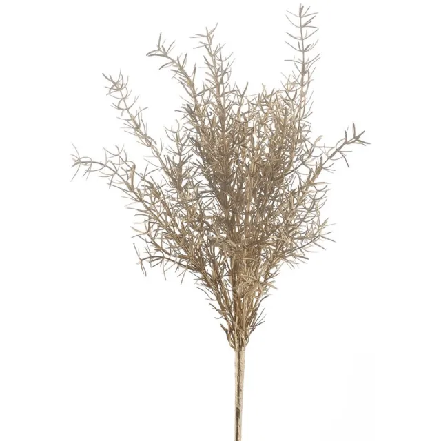 Buitengewoon Boet Buitengewoon de boet - Sprengeri bush goud 47 cm kunsttak onbekend