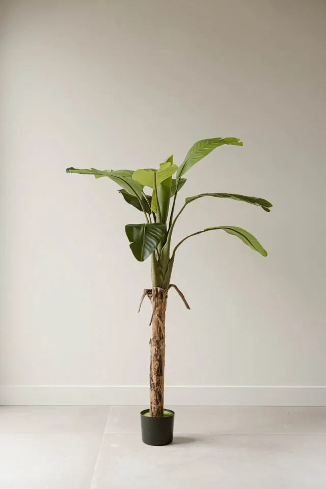 Indore Home Indore Silva Kunstplant Banaan 120 cm – Tropische Bananenplant – Grote Bladeren – Onderhoudsvrij groen