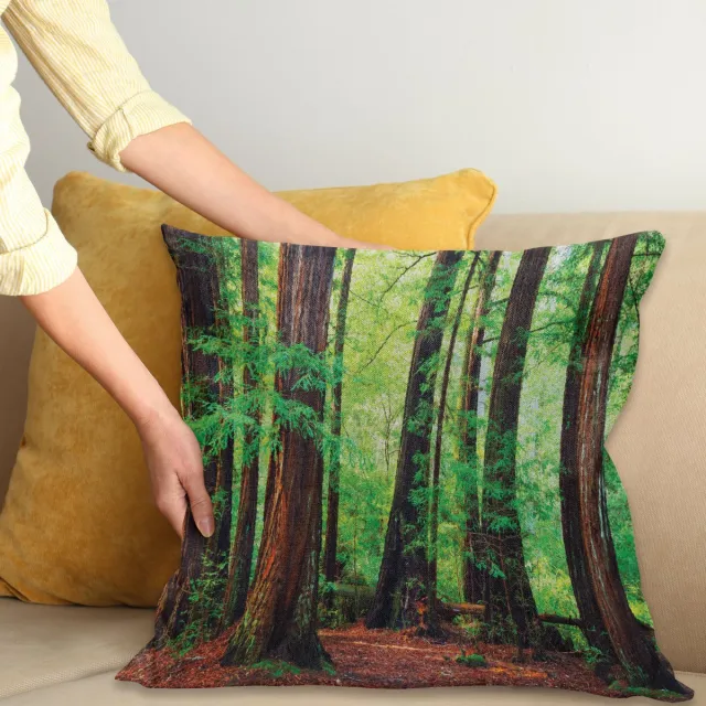 ABAKUHAUS Bos Sierkussenhoes, Redwood Bomen Northwest Regenwoud Tropisch Scenic Wild Natuur Lush Tak, Decoratieve Vierkante Sierkussenhoes, 50 x 50 cm, Bruin Groen