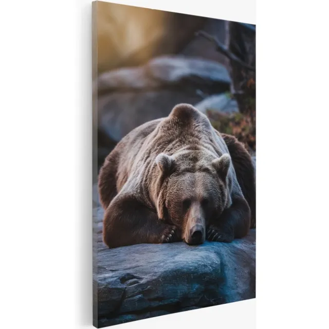 Saammp Canvas Schilderij - beer op rots - Natuur - Dieren - 80x120 - Foto op canvas - Wanddecoratie - Muurdecoratie Woonkamer - Slaapkamer decoratie - Canvas Print Multicolor