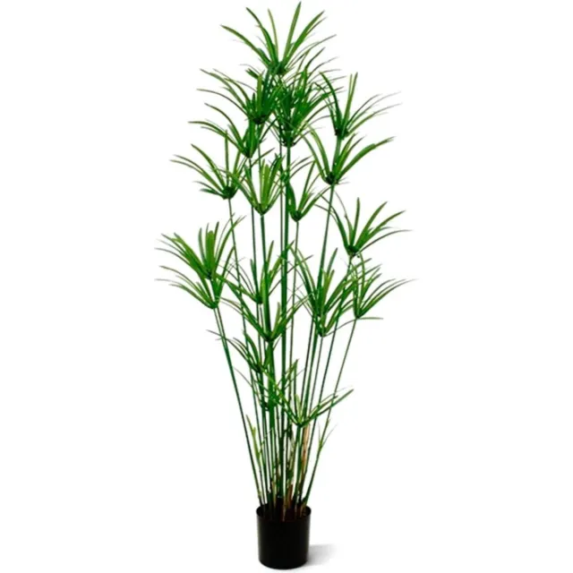maxifleur Kunstplanten Papyrus Deluxe 175cm Groen