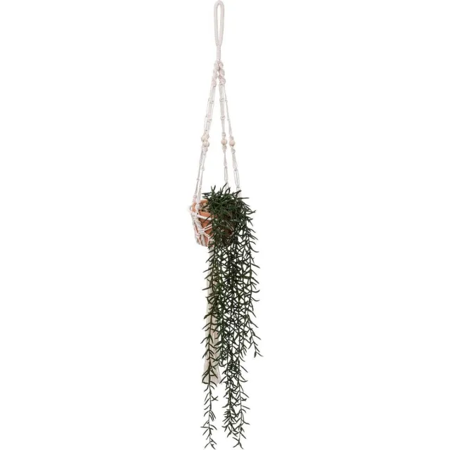 Atmosphera Créateur d'intérieur® Kunstmatige senecio Ali, 92 cm Vert