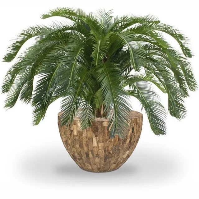 Maxifleur Cycas deluxe kunstpalm 125cm Groen