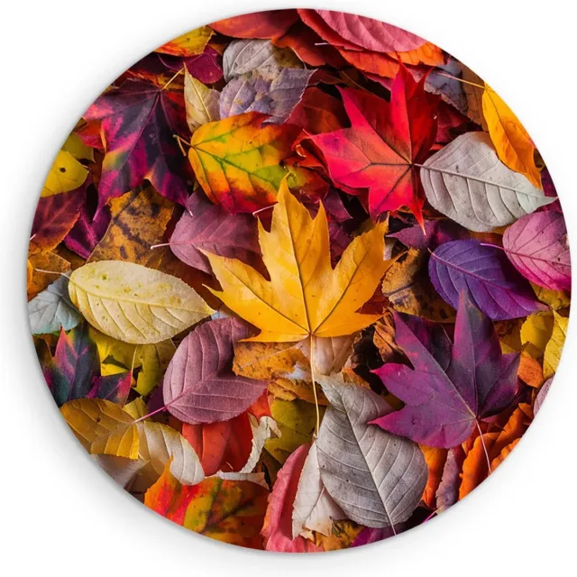Saammp Forex Muurcirkel - Geel Blad - Herfst - Landschap - Natuur - Ø 70 - Wandcirkel - Wanddecoratie Cirkel - Muurdecoratie Woonkamer - Slaapkamer decoratie - Rond Schilderij