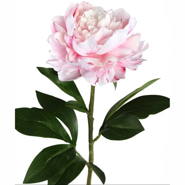 PTMD Peony Flower Pioenroos Prikker - 25 x 18 x 66 cm - Lichtroze
