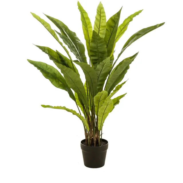 Emerald Kunstplant Fern Asplenium - Realistisch Groen - Onderhoudsvrij