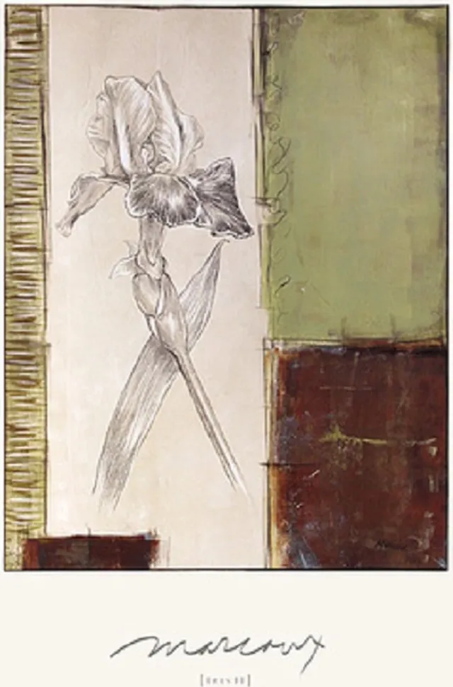 Editions Limited poster Editions Limited Julian Marcoux - Iris II (91.4 x 61cm) diverse kleuren