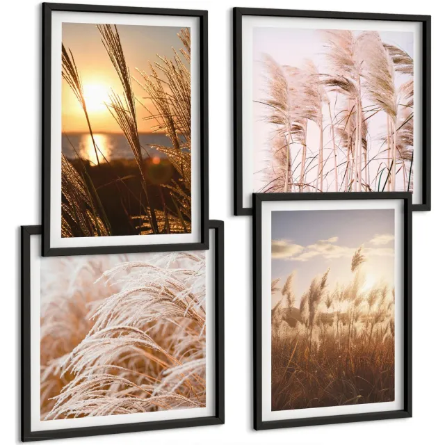 Coloray 4-Delige Schilderij Set - Fijne Grassen Van Boho Fields Bij Zonsondergang - 40 x 40 cm En 40 x 60 cm - Stijlvolle Muurdecoratie - Slaapkamer - Woonkamer Decoratie Zwarte lijst