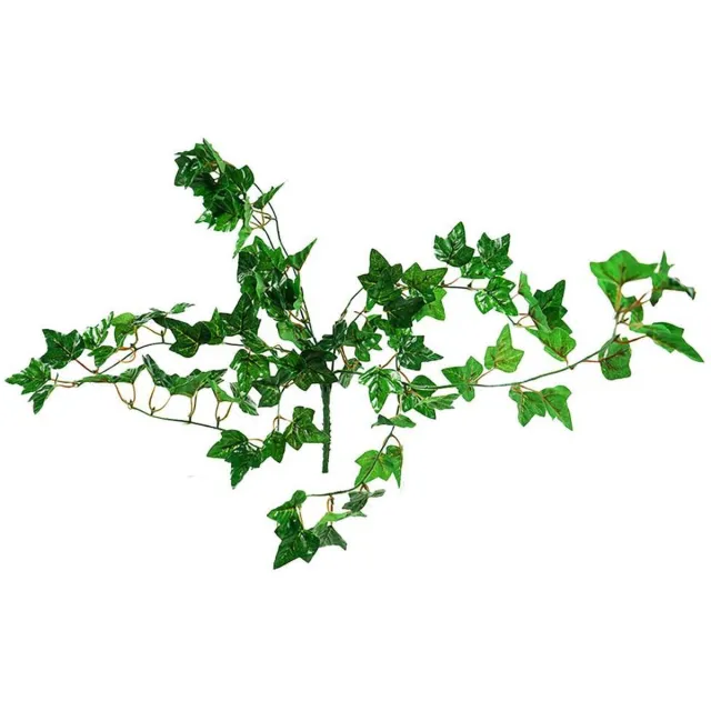 (.M.)PlantsAndMore! Engelse klimop hanger groen 40 cm 2 stuks