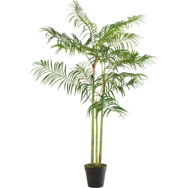 J-Line plant Bamboepalm In Pot - kunststof - groen/zwart - small