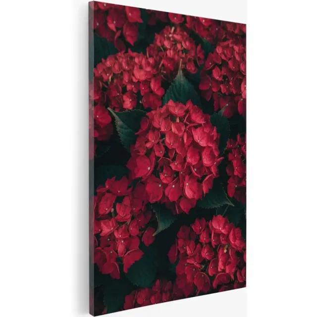 Saammp Canvas Schilderij - Natuur - Rode Bloemen - 40x60 - Foto op canvas - Wanddecoratie - Muurdecoratie Woonkamer - Kantoor Decoratie Multicolor