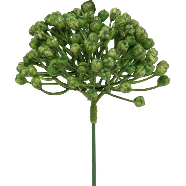 Viana Hortensia knopsteker 22cm groen 12 st groente