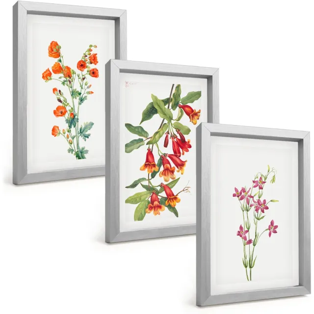 TULUP 4-Delige Schilderij Set - Vintage retro bloemenschilderij - 20 x 30 cm - Muurdecoratie - Wanddecoratie - Slaapkamer Zilveren lijst