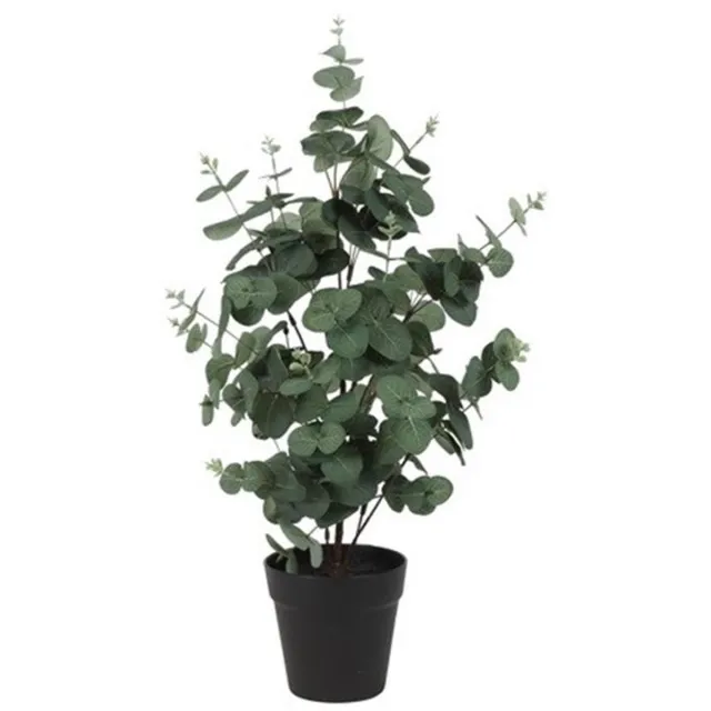 Countryfield Kunstplant Eucalyptus Groen 65 cm – Kunsttak Eucalyptus – Onderhoudsvrije Woondecoratie