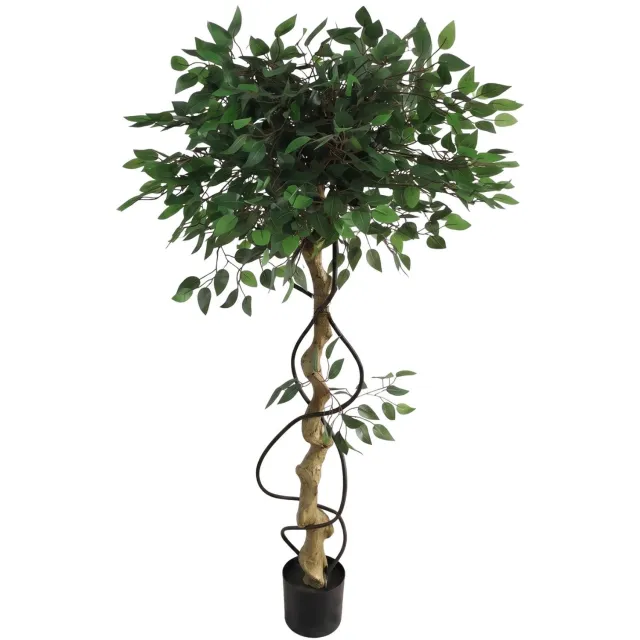 EDENIA Kunstplant - Kunstmatige ficus op gedraaide stam in een pot, hoogte 150 cm Groen
