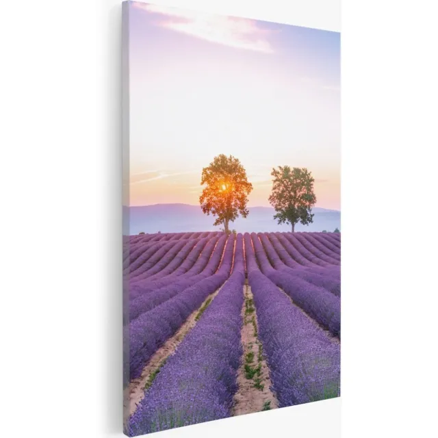 Saammp Canvas Schilderij - Lavendelveld met de zon tussen de bomen - Natuur - Landschap - 60x90 - Foto op canvas - Wanddecoratie - Muurdecoratie Woonkamer - Slaapkamer decoratie - Canvas Print Multicolor