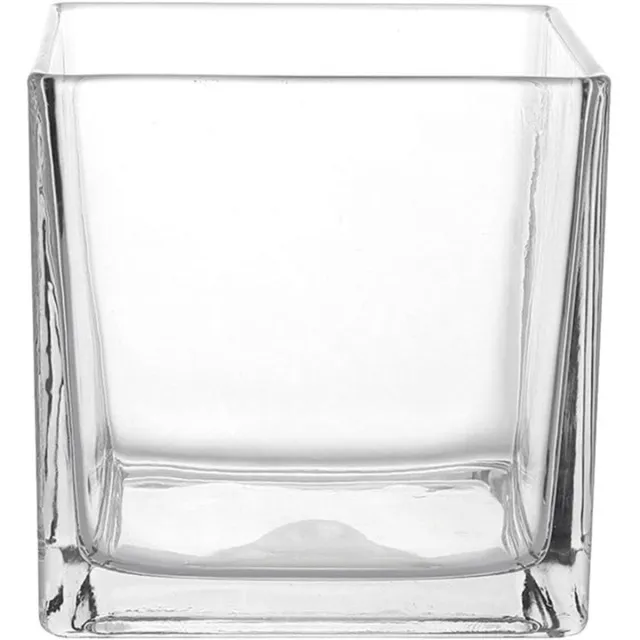 Cosensi Glazen vaas vierkant 15 cm transparant hydrocultuur bloemenvaas kamerdecoratie kantoor met robuust glas diverse planten Any