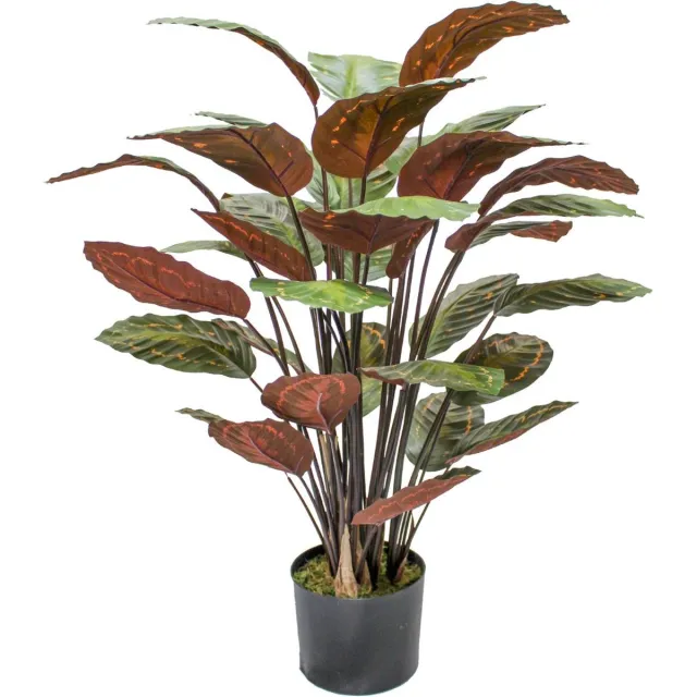 PrettyPlants Calathea Kunstplant 90cm Groen