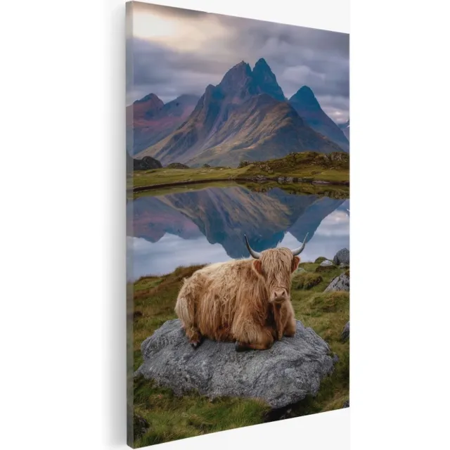 Saammp Canvas Schilderij - Schotse Hooglander Koe op steen - Natuur - Dieren - 75x100 - Foto op canvas - Wanddecoratie - Muurdecoratie Woonkamer - Slaapkamer decoratie - Canvas Print Multicolor