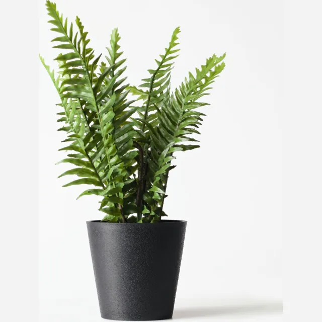 HEMA Kunstplant varen 55cm (groen)