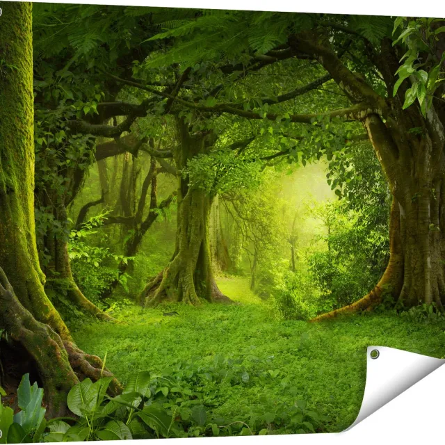 Gards Tuinposter Groene Tropische Jungle Bos - 100x80 cm - Tuindoek - Tuindecoratie - Wanddecoratie buiten - Tuinschilderij Multikleur