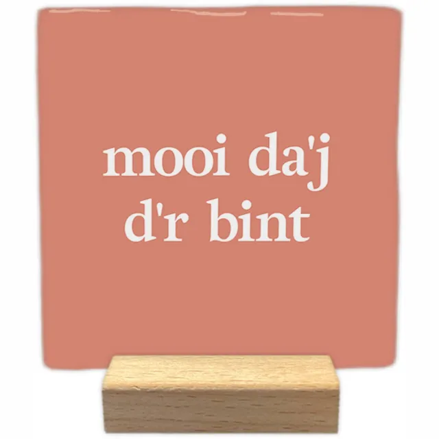 Artige Decoratie tegeltje met tekst - Mooi da'j d'r bint - keramisch - 10x10 cm - inclusief houder Zalm