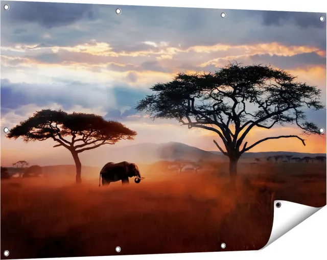 Gards Tuinposter Olifant in het Wild - Savanne - 120x80 cm - Tuindoek - Tuindecoratie - Wanddecoratie buiten - Tuinschilderij Multikleur