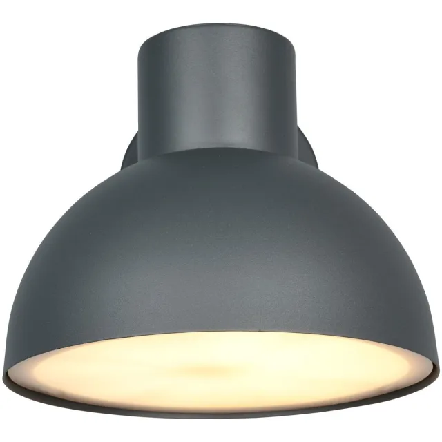 Trio ELBE - Wandlamp - Antraciet - excl. 1x E27 4,9 W - Wandmontage - Buitenverlichting - IP44
