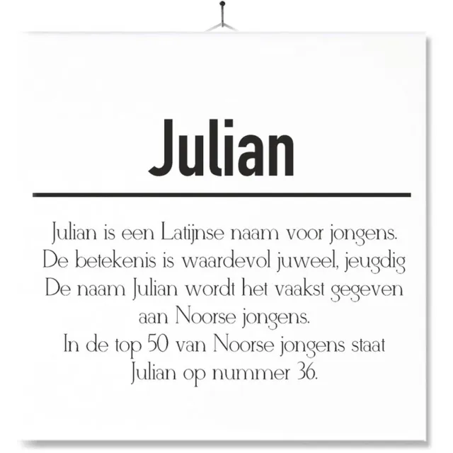 MC Living Tegel Met Opdruk | Betekenis | Kado | Cadeau | Met Naam - Julian Multi-Color