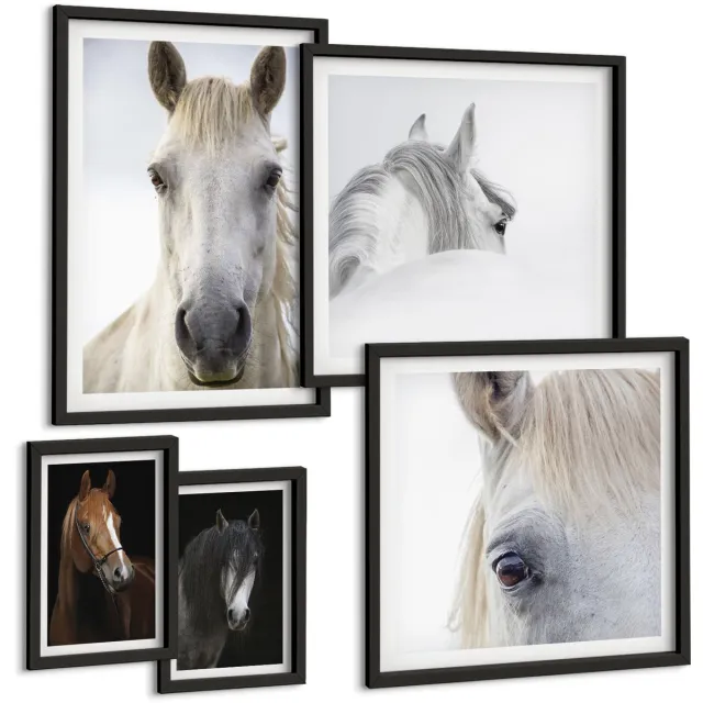 Coloray 5-Delige Schilderij Set - Paardenportretten In Diverse Perspectieven En Artistieke Stijlen. - 50 x 50 cm, 20 x 30 cm En 40 x 60 cm - Decoratieve Muurdecoratie - Slaapkamer - Woonkamer Decoratie Zwarte lijst