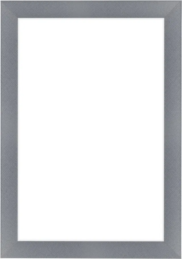 Dutch Frame Factory Fotolijst 60x85 cm - MDF - Aluminium Geborsteld - Colonia