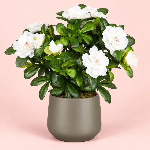 Mica Decorations Kunstplant - Azalea wit - H27 cm - in taupe bloempot - keramiek - complete set van pot en plant - decoratie stuk