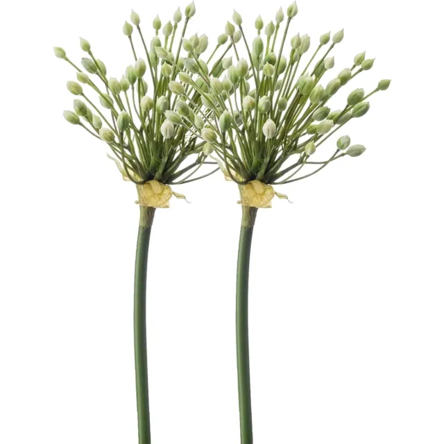 Emerald Allium/Sierui kunstbloem - 2x - losse steel - creme - 70 cm - Natuurlijke uitstraling