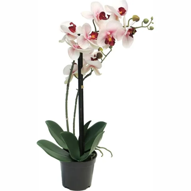 Bellatio Design Orchidee bloemen kunstplant Bora - bloemen/bloemetjes - roze - H50 cm - Phalaenopsis