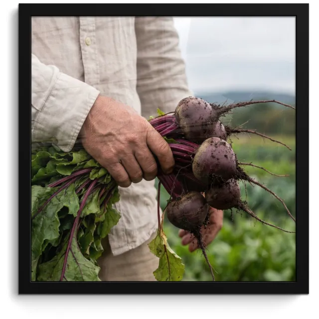 FrameYourWall Poster in lijst - Fotolijst 40x40 cm - Posters - Bieten - Vers - Moestuin - Posterlijst zwart - Decoratie - Wanddecoratie woonkamer - Muurdecoratie slaapkamer
